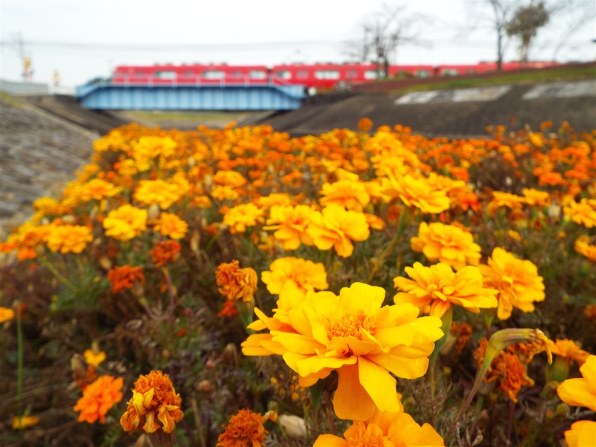 富士フイルム FinePix S9900W投稿画像・動画 - 価格.com