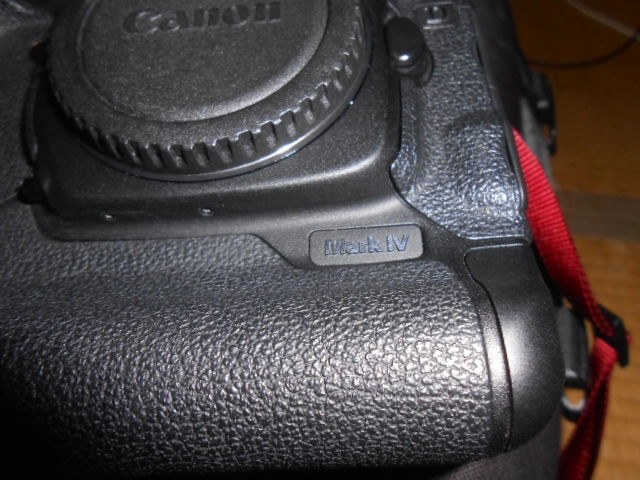 Canon EOS 5D Mark Ⅳ 本体ボディバッテリー×1