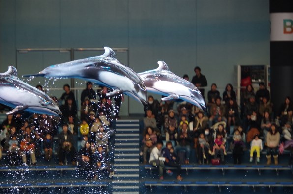 smc PENTAX DA55−300mm F4-5.8 ED 実写例あり 使えば使うほどはまるsmc PENTAX-DA 55-300mmF4-5.8EDの味