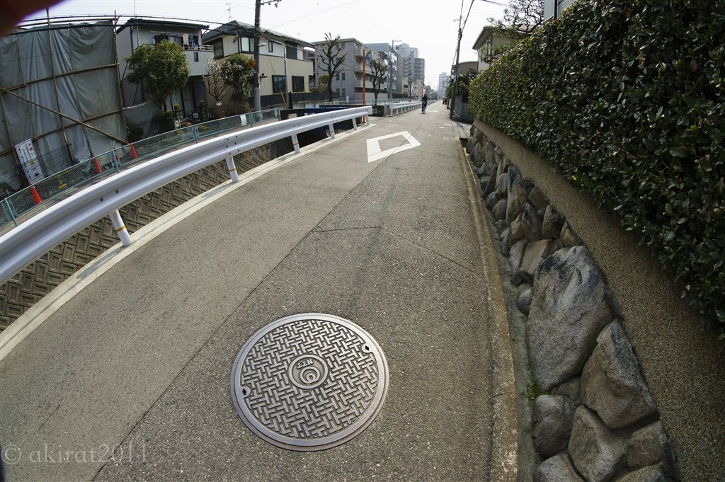 Eマウント魚眼の無難な選択肢。ただし、寄れない。』 SAMYANG 8mm F2.8