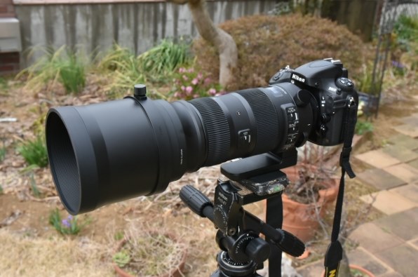 シグマ 150-600mm F5-6.3 DG OS HSM Sports [ニコン用] レビュー評価