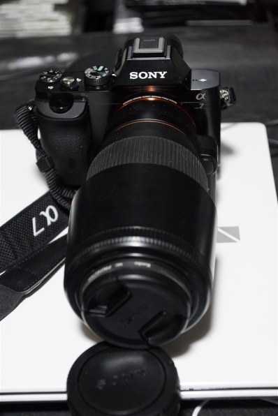 シグマ APO 70-300mm F4-5.6 DG MACRO (ﾐﾉﾙﾀ AF) レビュー評価・評判