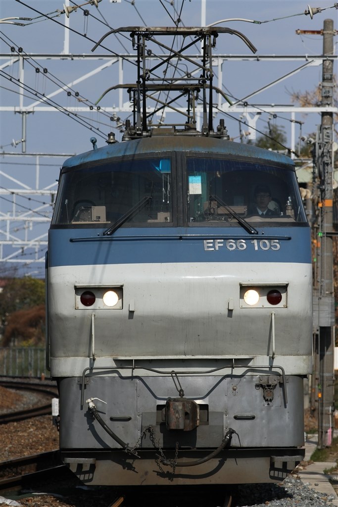 Ⅰ型ですが、素晴らしい描写力です！』 CANON EF200mm F2.8L II USM