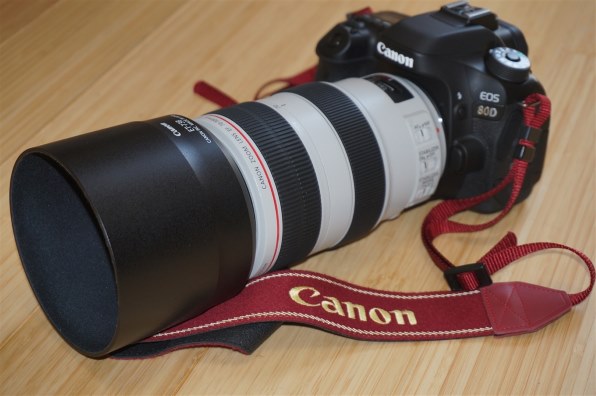 SONY α NEX-3NL パワーズームレンズキット [ブラック]で撮影された写真