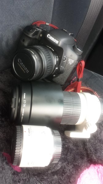 CANON EF-S18-55mm F3.5-5.6 II USM 価格比較 - 価格.com