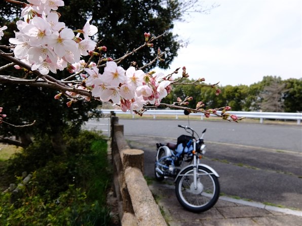 富士フイルム FUJIFILM XQ2 [ホワイト]投稿画像・動画 (レビュー