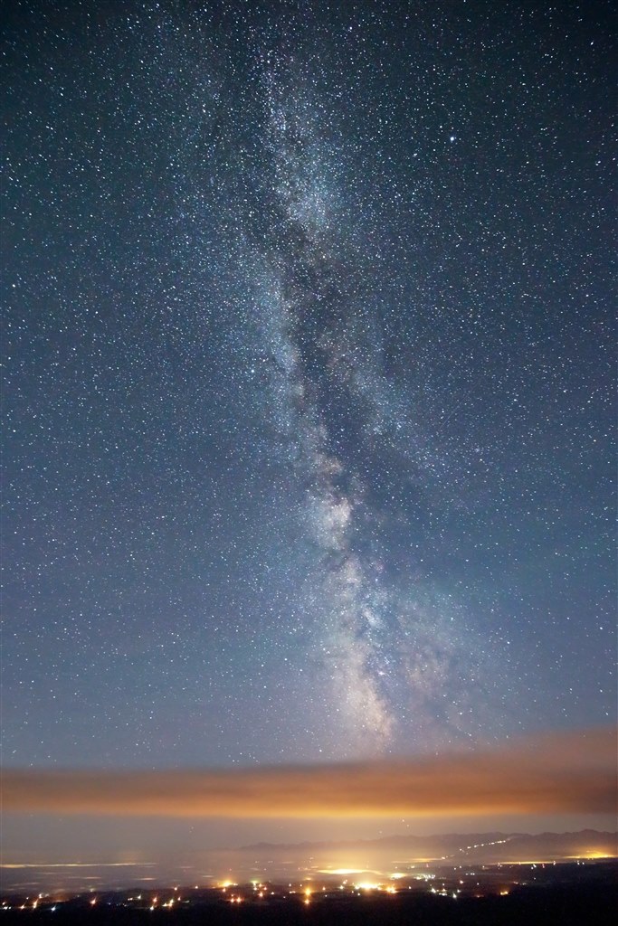 やっぱりこっちが良かった。』 CANON EF16-35mm F4L IS USM ariニャン