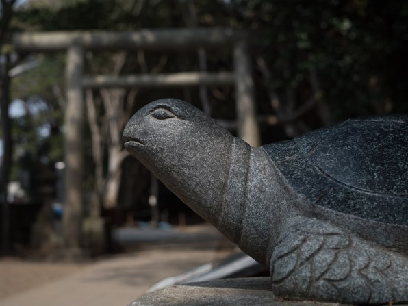 シグマ 30mm F2.8 DN ブラック [マイクロフォーサーズ用] レビュー評価