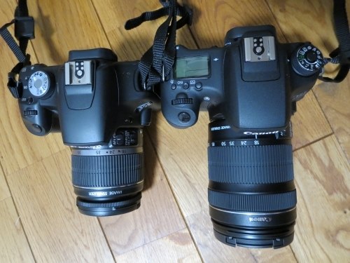 シャッター数：29]Canon EOS8000D （キヤノン 一眼レフ EOS