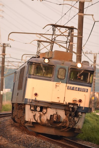 ニコン AI AF-S Zoom Nikkor ED 80-200mm F2.8D(IF) (ブラック)投稿