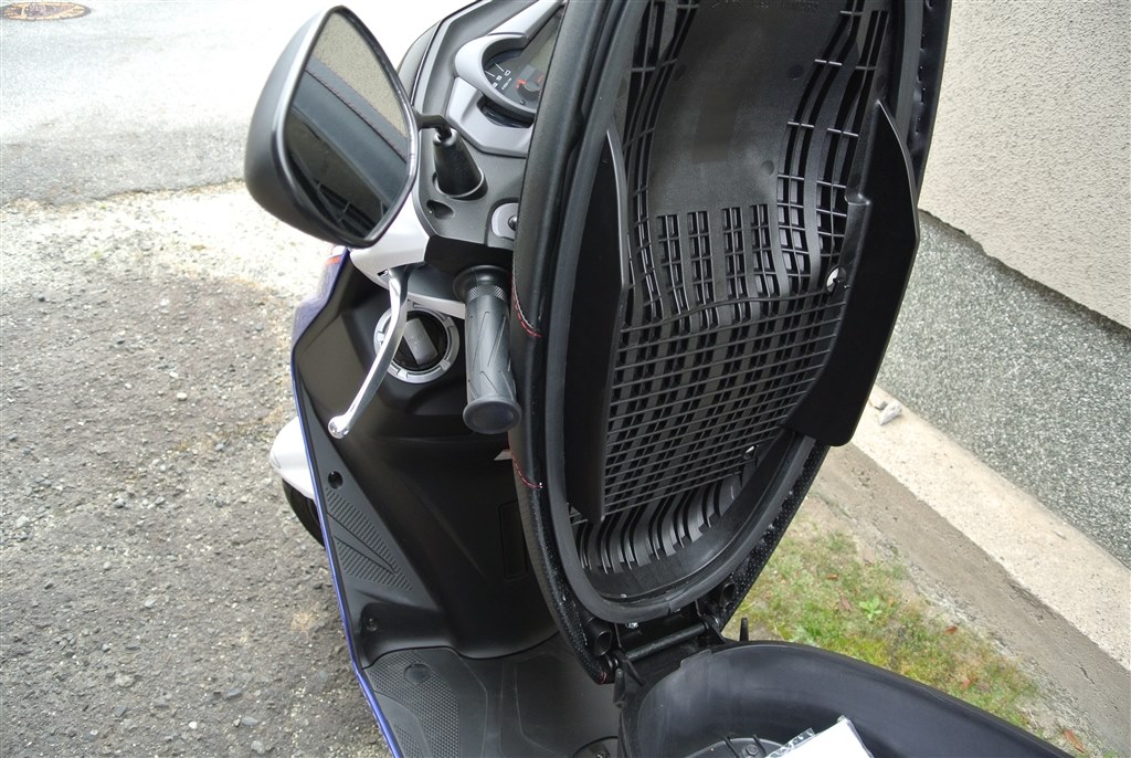 グランドアクシスから乗り換えました。』 ヤマハ シグナスX そら＆れお