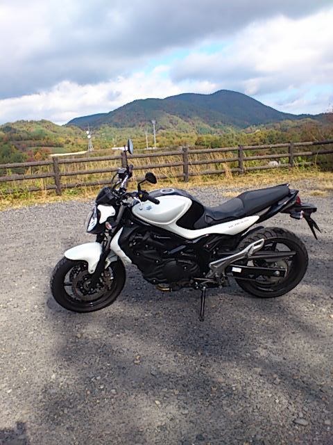 イイバイクだが尻痛との闘い』 スズキ グラディウス400 Ken-RRさんの