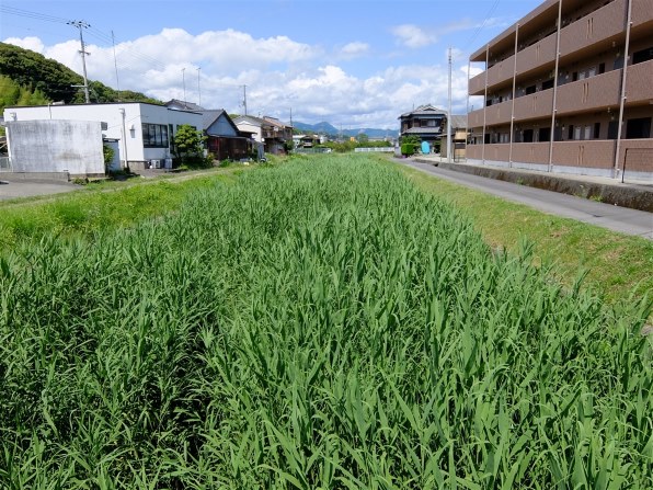 KImuさま専用　XQ2  白 81OpIRRtDQL._UF350,350_QL80_.jpg