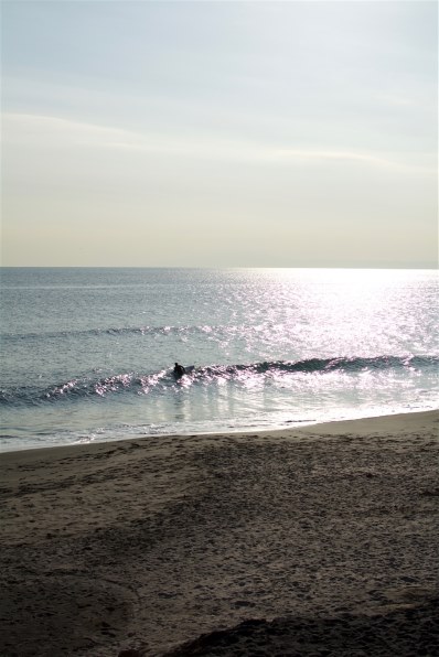 ニコン D5200 ダブルズームキット投稿画像・動画 (レビュー) - 価格.com