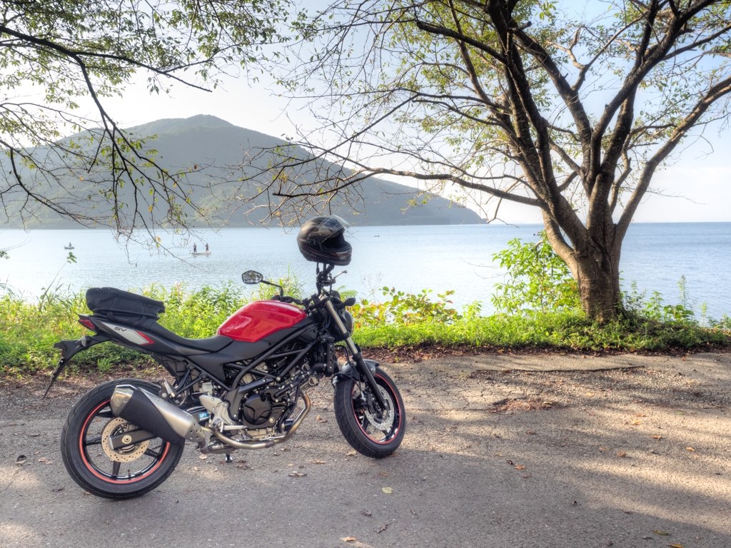 Sv650absの慣らしが終わったので取り敢えず スズキ Sv650 Vfvさんのレビュー評価 評判 価格 Com