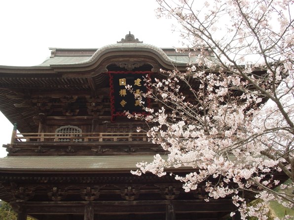 SONY サイバーショット DSC-F77A 価格比較 - 価格.com