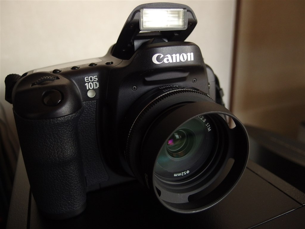 故障知らずで頑丈なカメラです』 CANON EOS 10D DIGITAL ボディ 猫の