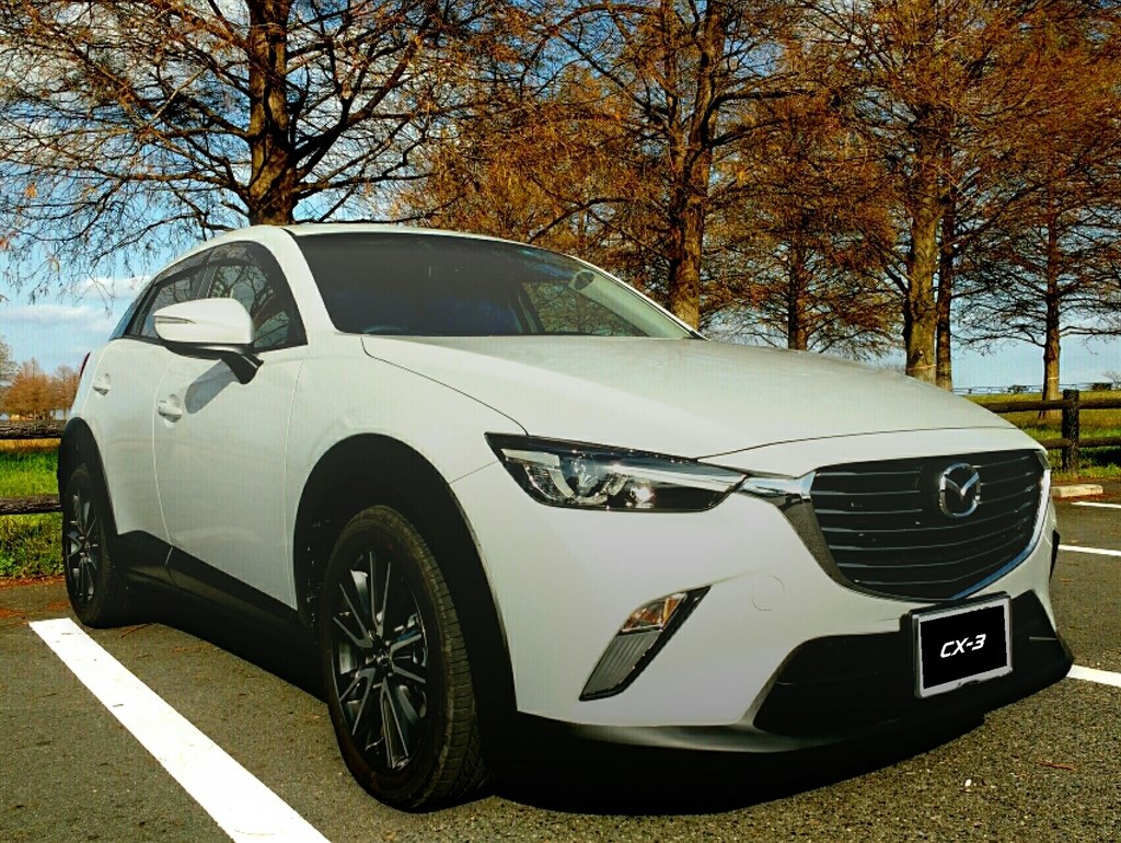 正に あばたもえくぼ です マツダ Cx 3 15年モデル 特急彗星号さんのレビュー評価 評判 価格 Com