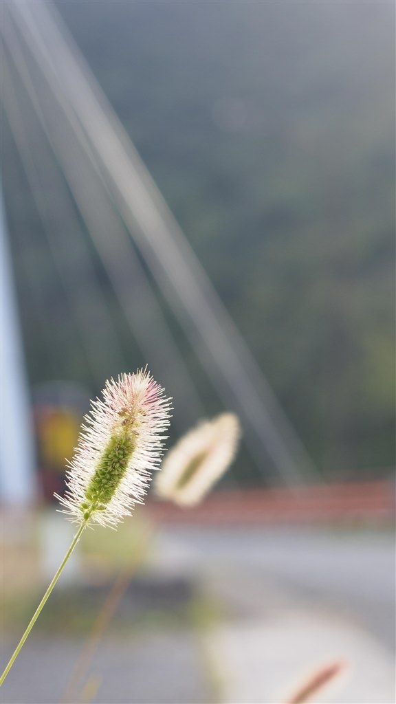 旅のお供に好適かと』 オリンパス OLYMPUS PEN Lite E-PL6 ダブル