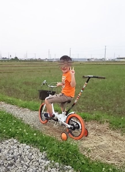 People いきなり自転車 プレミアム [プレミアムパールホワイト