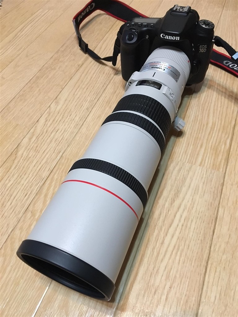 超望遠 Canon EF 400mm F5.6 L USM