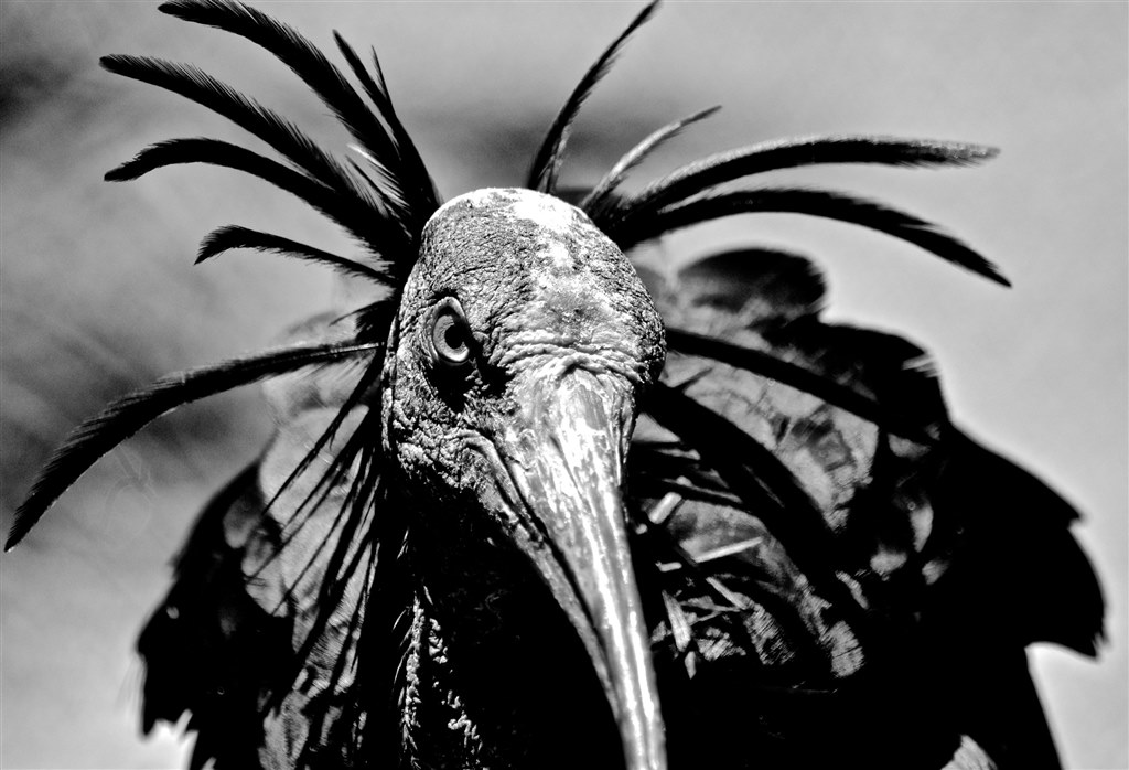 新品　D7200 ボディ D7200 ボディの製品画像 - 価格.com