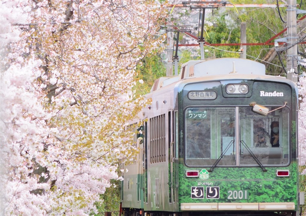 ☆撮影数極少220回☆Nikon D7200 ボディのみ　ニコンDX機 ☆撮影数極少220回☆Nikon D7200 ボディのみ ニコンDX機 ☆撮影