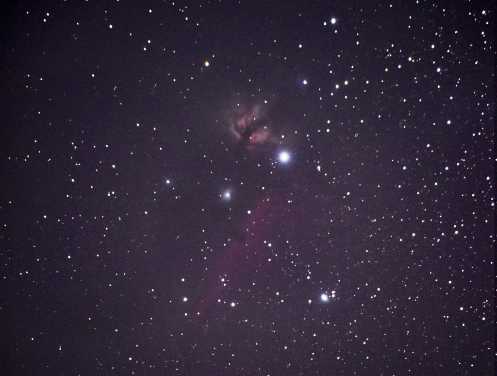 いいえ、彼は首を横に振る【訳あり品】NIKKOR 200-500mm レビュー】AF-S NIKKOR 200-500mm f/5.6E ED VR コスパ最高の