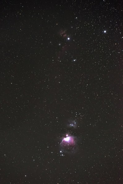 いいえ、彼は首を横に振る【訳あり品】NIKKOR 200-500mm レビュー】AF-S NIKKOR 200-500mm f/5.6E ED VR コスパ最高の