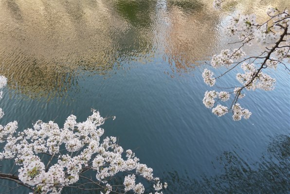 LUMIX DMC-GF3 【作例あり】 LUMIX DMC-GF3で撮影された写真 | 写真検索 | GANREF