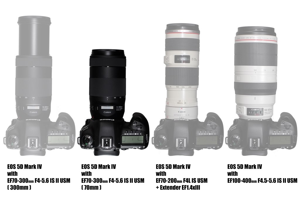 canon ef70-300mm f4-5.6 is ii usm 望遠レンズ-