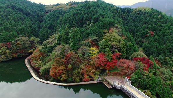 DJI PHANTOM 3 PROFESSIONAL P3PF 価格比較 - 価格.com