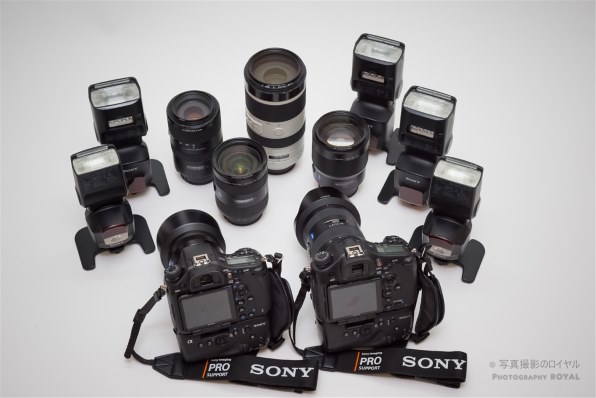SONY α65 SLT-A65VY ダブルズームレンズキットで撮影された写真