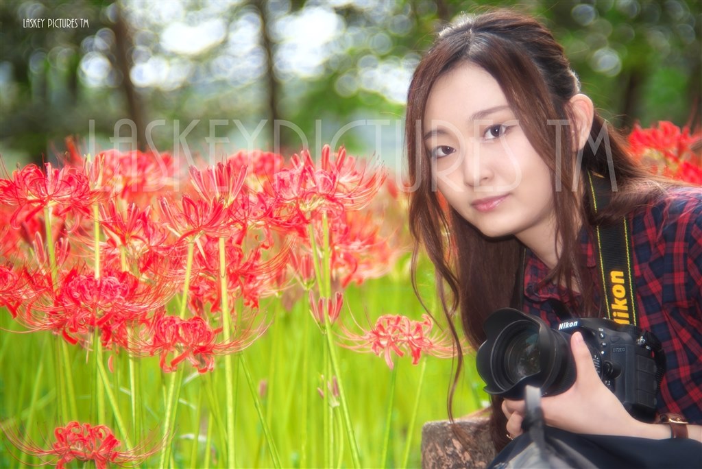 ファーストインプレッション その2』 ニコン AF-S NIKKOR 105mm f/1.4E