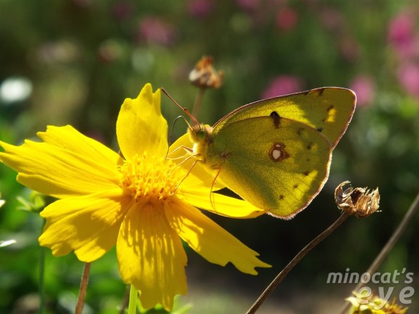 富士フイルム FinePix S9400W投稿画像・動画 - 価格.com 富士フイルム FinePix S9400W投稿画像・動画 - 価格.com