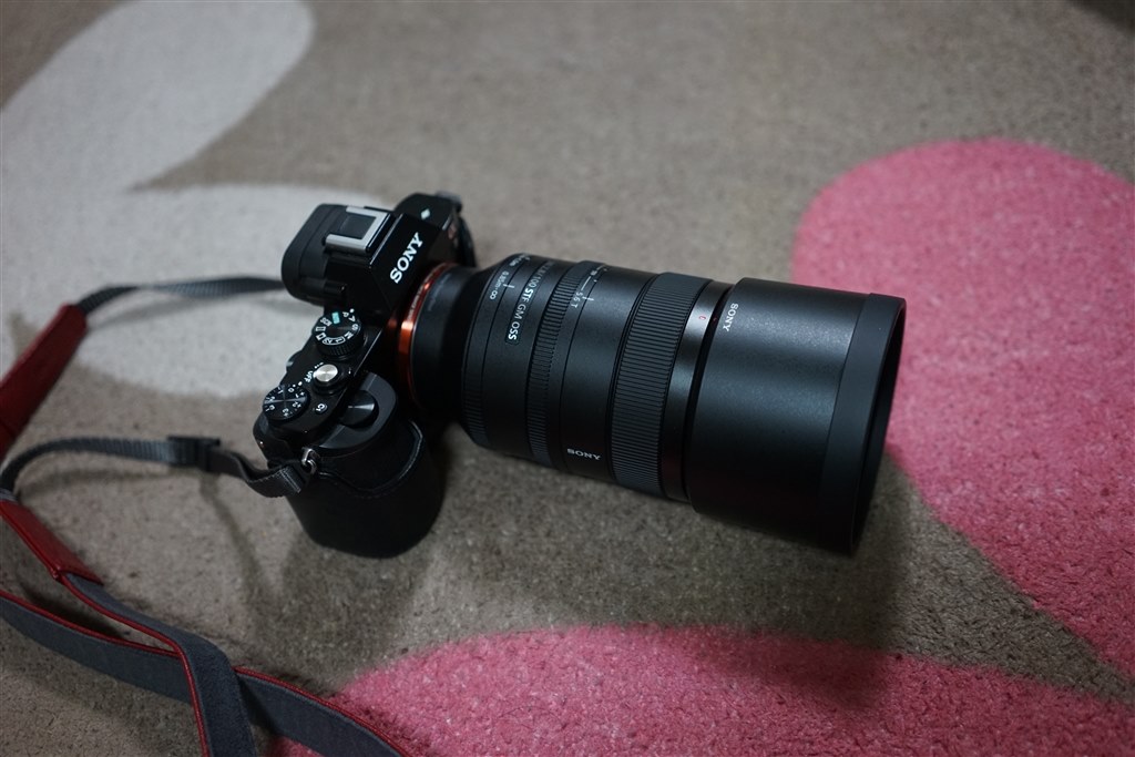 SONY FE 100F2.8 STF GM OSS - その他