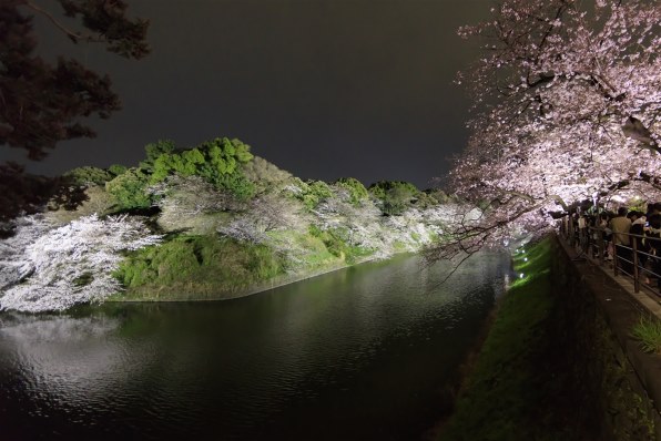 Canon EF14mm F2.8L II USM 【実写OK】 Canon EF 14mm f/2.8L II USM | Richard Walch photography & film