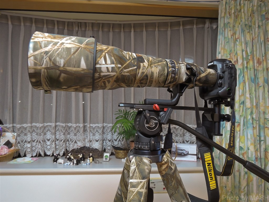 まずは、ブレ対策と体力作り？』 ニコン AF-S NIKKOR 800mm f/5.6E FL