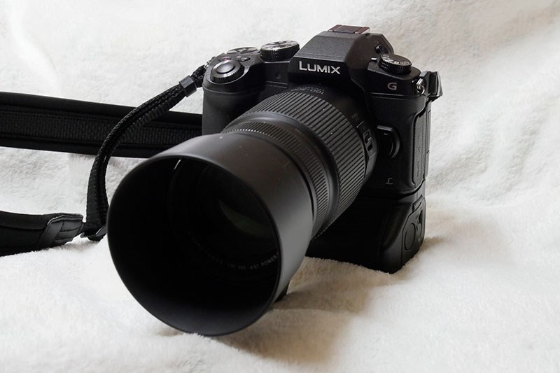 G8との組み合わせに満足 パナソニック Lumix G Vario 100 300mm F4 0 5 6 Ii Power O I S H Fsa Bluesさんのレビュー評価 評判 価格 Com