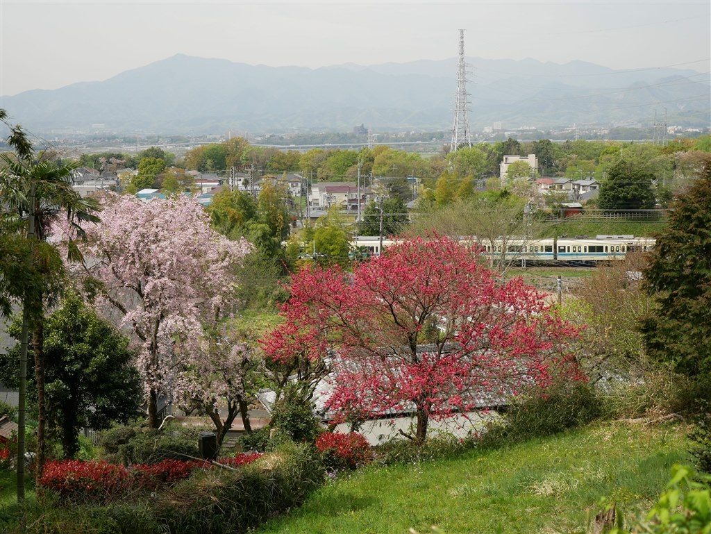 欠点の見当たらない、私の旅カメラ』 パナソニック LUMIX DMC-G8