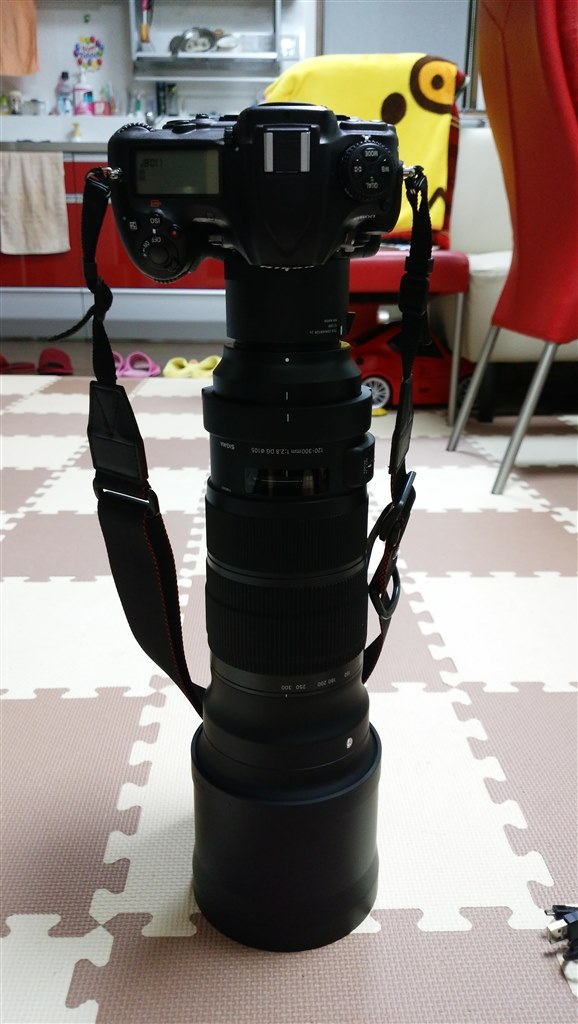 カメラSIGMA 120-300mm F2.8 DG OS HSM Canon用