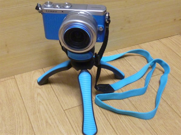 パナソニック LUMIX DMC-FX77-N [レオパードゴールド]で撮影された写真