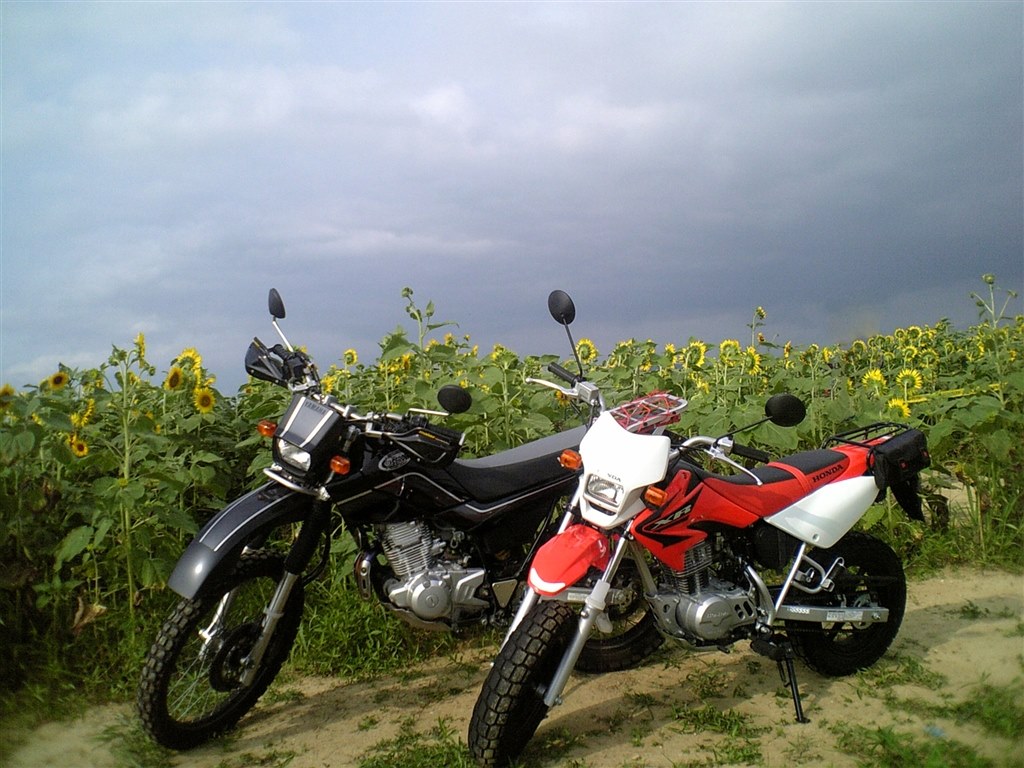 通勤に使っていました。』 ホンダ XR100 モタード とりせんさんの