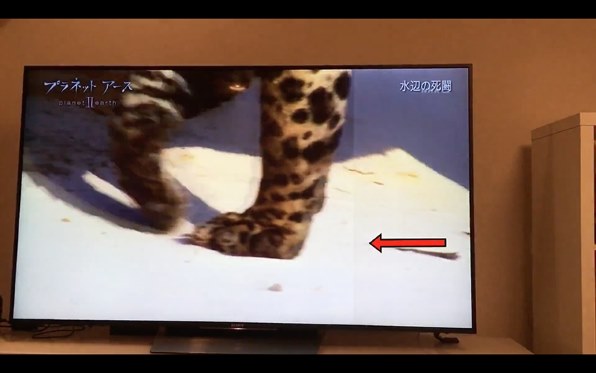 引き取り希望☆SONY KJ-65X8500D 65インチ液晶テレビ Amazon | ソニー 65V型 液晶 テレビ ブラビア KJ-65X8500D 4K