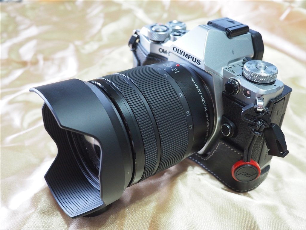 ネット販売品 ルミックス パナソニック G 12-60mm/F3.5-5.6 VARIO レンズ(ズーム)