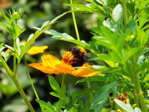 富士フイルム FinePix S9900W投稿画像・動画 - 価格.com