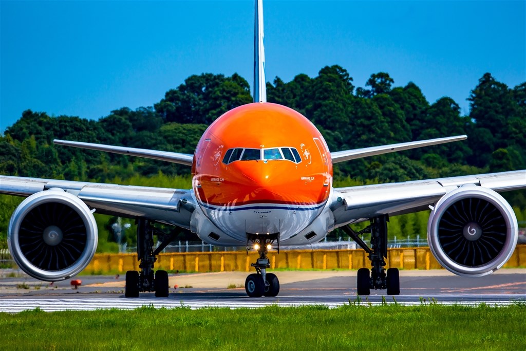 良い意味で？病気になります。』 CANON EF500mm F4L IS II USM 仙貨