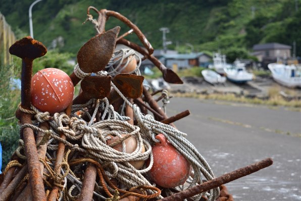 ニコン Af S Dx Nikkor 55 300mm F 4 5 5 6g Ed Vr レビュー評価 評判 価格 Com