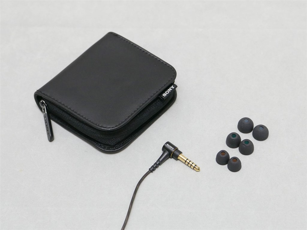 骨太の大迫力サウンド！』 SONY XBA-N3BP 鴻池賢三さんのレビュー評価