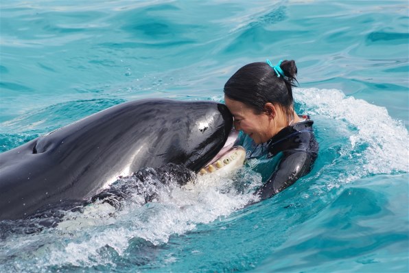 ペンタックス Hd Pentax Da 55 300mmf4 5 8ed Wr レビュー評価 評判 価格 Com